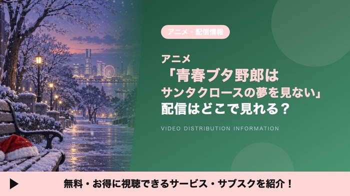 サンタクロースの夢を見ない 配信