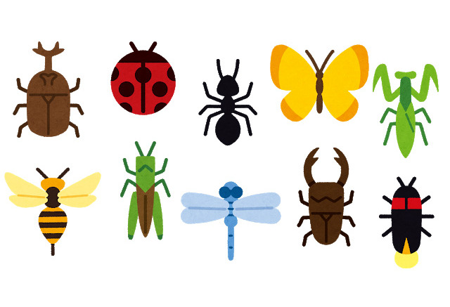 好きな虫キャラは 3位 デジモン テントモン 2位 ポケモン バタフリー 1位は 7枚目の写真 画像 アニメ アニメ