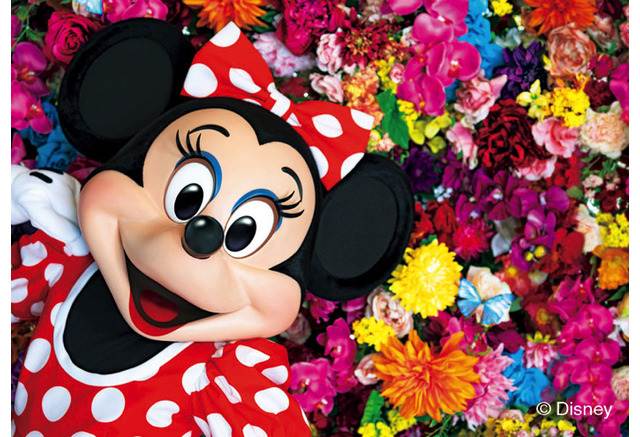 ディズニープリンセスやミッキー ミニーが写真家 蜷川実花によって色鮮やかに 写真集発売 アニメ アニメ