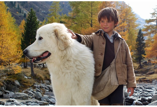 ベル セバスチャン 9月19日公開 名犬ジョリィ の小原乃梨子がコメントを発表 アニメ アニメ