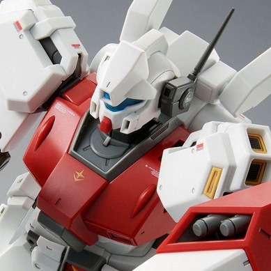 機動戦士ガンダムuc ガンプラ mg ジェガンD型 (先行配備機) 未組立 305943.jpg