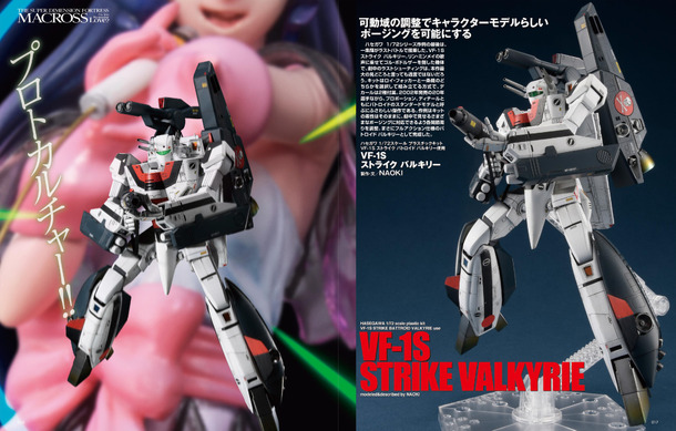 547156.jpg