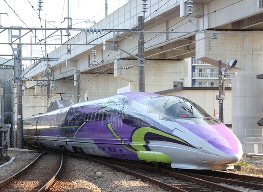 71798.jpg