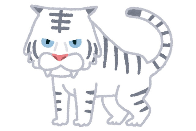 アニメ化してほしい小説は？ 2位京極夏彦「絡新婦の理」、1位は… 画像