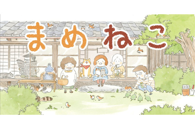 猫のゆるふわライフ「まめねこ」アニメ1月スタート　主題歌は注目の“二刀流シンガー” 画像
