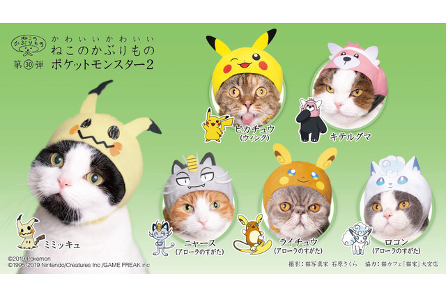 「ポケモン」猫にかぶせる“激かわ”アイテム登場！ピカチュウほかアローラ地方ポケモン集合 画像