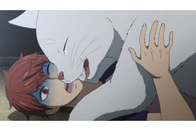 「真夜中のオカルト公務員」新の実家の蔵に踏み込むと、二股の尾を持つ白い猫が…第2話先行カット 画像