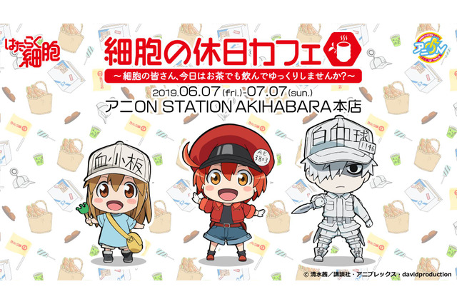 「はたらく細胞」“憩いの場”コンセプトのコラボカフェ開催 ヘルパーT細胞の参加型企画も 画像