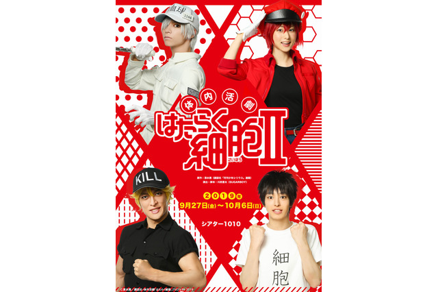 舞台「はたらく細胞」新作公演が決定 北村諒、川村海乃ら、キャスト一挙公開 画像