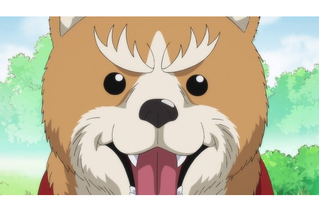 「織田シナモン信長」織田信長が柴犬に転生!? ドッグランで出会った思いがけない面々とは？ 第1話先行カット 画像