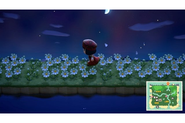 「あつまれ どうぶつの森」あったらいいなを妄想してみた！ “花びらが散らない靴”や“DIY一括作成”など10選【特集】 画像