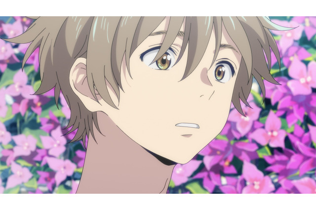 「海辺のエトランゼ」心洗われる特報映像＆新規場面カット公開 原作・紀伊カンナ初の画集も 画像