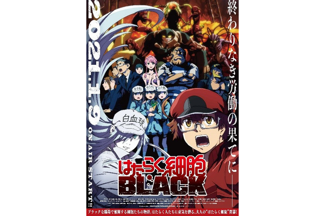 「はたらく細胞BLACK」第2弾キービジュアル＆PV公開！ マクロファージ役・椎名へきるら追加キャストも発表 画像