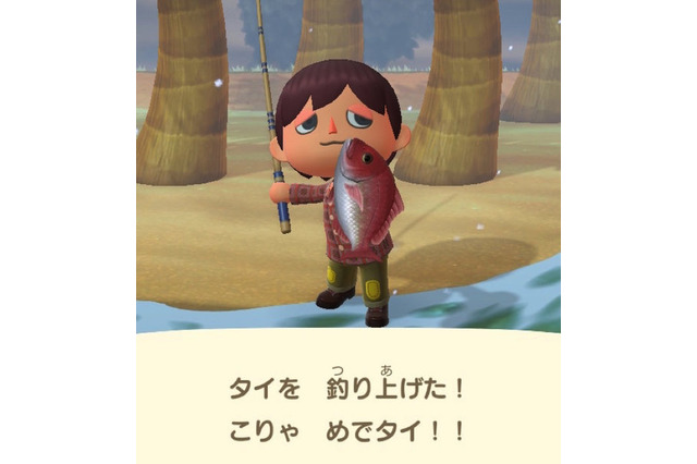 ニセモノに注意？「あつまれ どうぶつの森」で釣れるタイってどんな魚？【平坂寛の『あつ森』博物誌】 画像