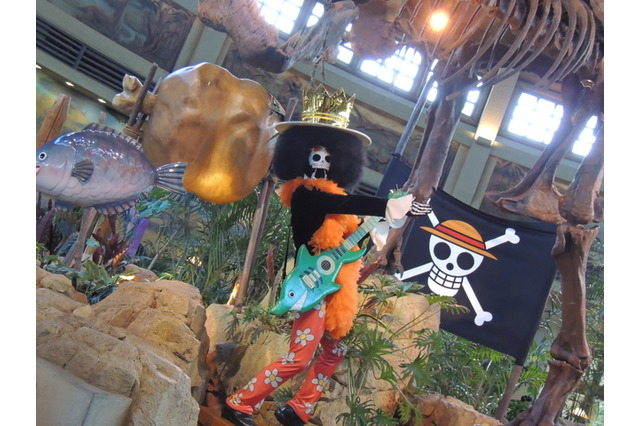 「ONE PIECE」の世界がUSJで完全再現！「ワンピース サマーアドベンチャー」初日レポ 画像