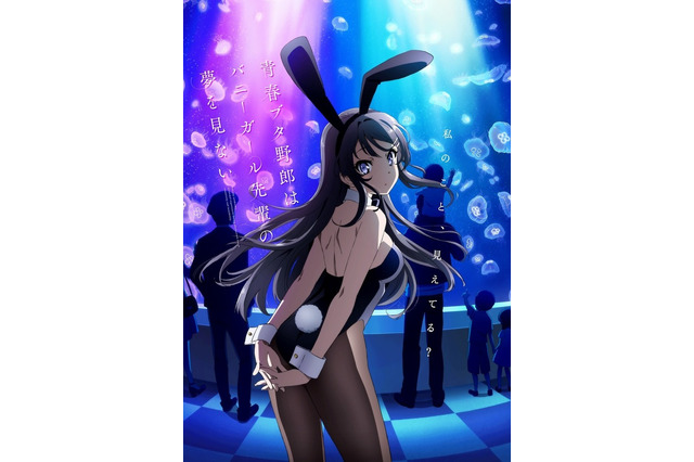 瀬戸麻沙美さんお誕生日記念！一番好きなキャラは？ 3位「トロプリ」キュアフラミンゴ、2位「青ブタ」桜島麻衣、1位は…＜21年版＞ 画像