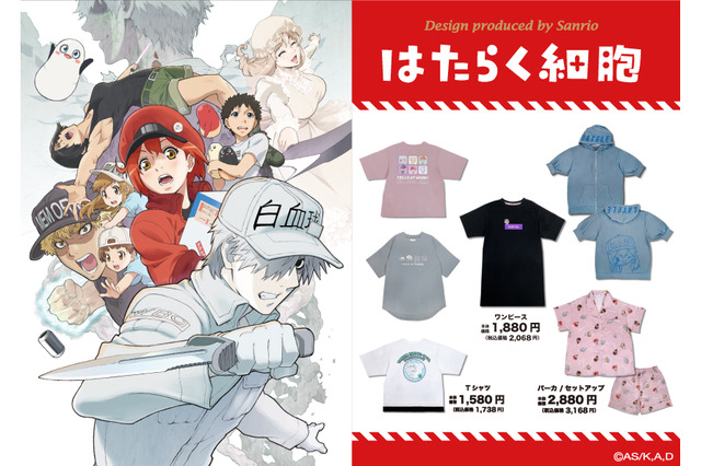 「はたらく細胞×サンリオ」おうち時間を楽しく！ イオン限定のコラボアイテムが登場 画像