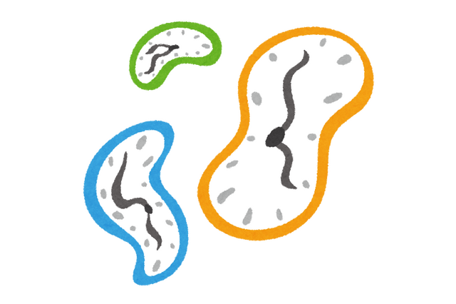 好きな“タイムリープ系”アニメといえば？ アンケート〆切は9月30日【#永遠の日】 画像