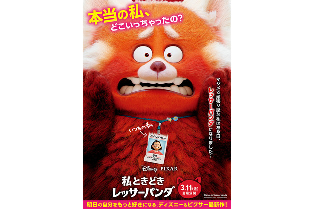 ときどき“レッサーパンダ”になる女の子!? ディズニー＆ピクサー最新作の特報がお披露目 画像