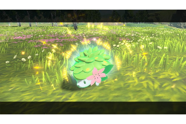 「ポケモンレジェンズ アルセウス」でシェイミが貰える！「ソード・シールド」との連動特典が豪華 画像