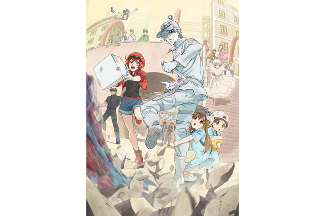 前野智昭さんお誕生日記念！一番好きなキャラは？ 3位「暁のヨナ」ハク、2位「はたらく細胞」白血球、1位は… ＜22年版＞ 画像