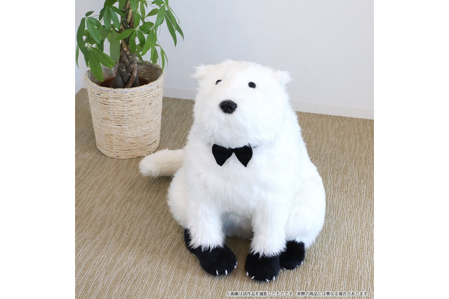「SPY×FAMILY」抱きしめるのにぴったり♪ボンドのぬいぐるみが登場！ 画像