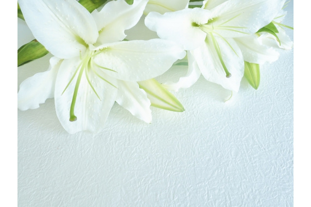 声優・梁田清之さんが逝去、真殿光昭さんがTwitterを通じて報告　「SLAM DUNK」赤木剛憲役や「BLEACH」握菱テッサイ役など 画像