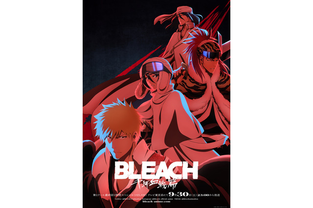 “いちご”キャラといえば？ トップ3は全員主人公！ 3位「BLEACH」一護、2位「銀魂」銀時、1位は…＜24年版＞ 画像