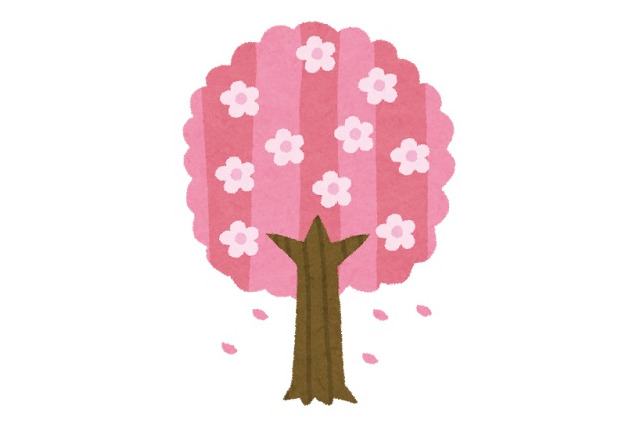 “さくら”が印象的なアニメといえば？ アンケート〆切は3月16日 画像