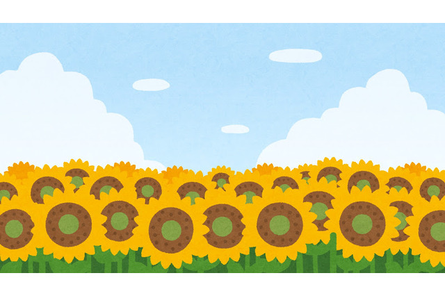 “黄色”がイメージカラーのキャラといえば？ アンケート〆切は7月3日【#ひまわりの日】 画像