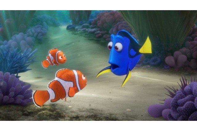 「ファインディング・ドリー」最新予告がいよいよ公開　人間の世界で新たな仲間と大冒険 画像