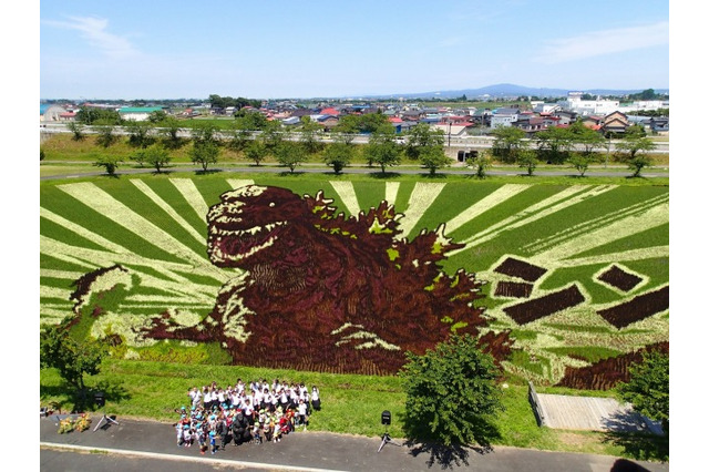 「シン・ゴジラ」青森に現わる 田んぼアートの巨大ゴジラがついにお披露目 画像