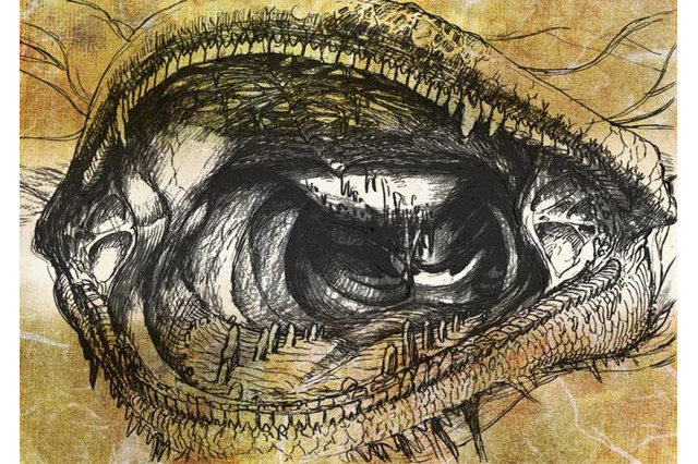 スタジオカラー初のTVアニメ作品、舞城王太郎原作「龍の歯医者」2017年2月放送 画像