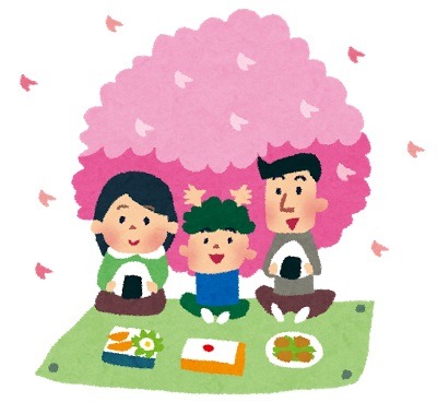 「お花見に一緒に行きたい組織は？」アンケート 3位ACCA監察課、2位麦わらの一味、1位は…