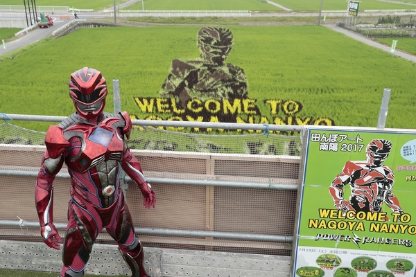 「パワーレンジャー」田んぼアートが完成！ 観察会にレッドレンジャーも登場