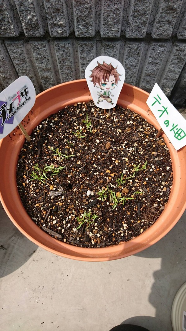 （c）DAME×PROJECT/NHN PlayArt Corp.