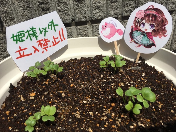 （c）DAME×PROJECT/NHN PlayArt Corp.