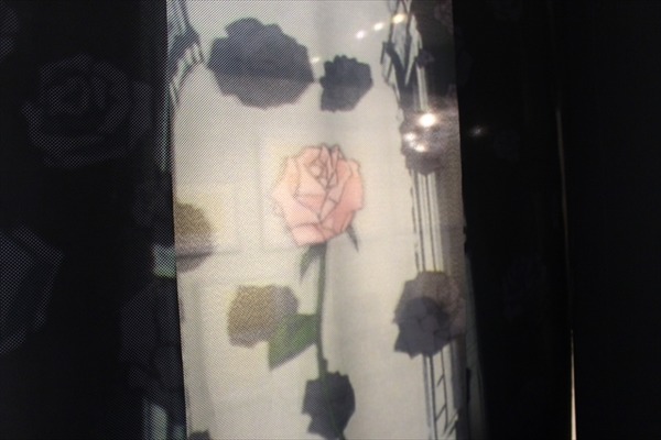 「少女革命ウテナ」原画など450点並ぶ記念展、薔薇に囲まれた撮影スポットなど全てが華麗