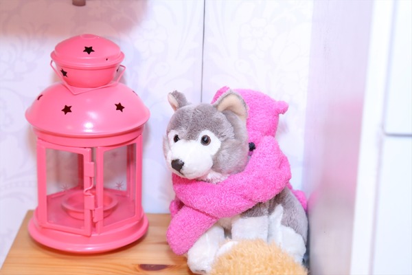 【収録オフショット】久しぶりに