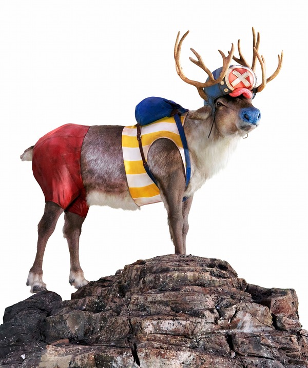 『ONE PIECE』×Indeed「麦わらの一味募集」篇 チョッパー