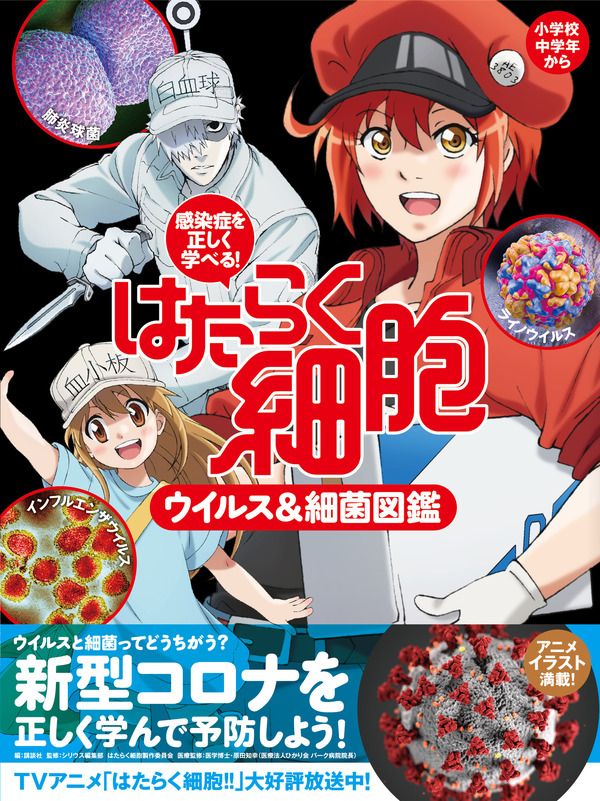 「感染症を正しく学べる！　はたらく細胞　ウイルス＆細菌図鑑」1,400円（税別）（C）清水茜／講談社・アニプレックス・davidproduction