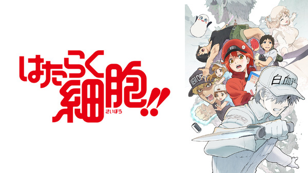 『はたらく細胞!!』(C)清水茜／講談社・アニプレックス・davidproduction