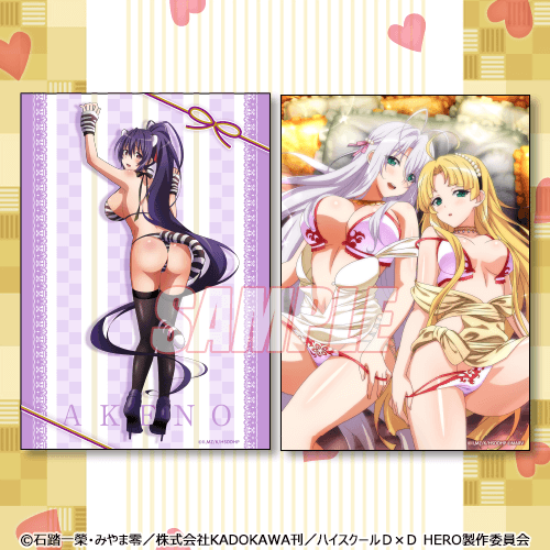 D賞：ブロマイド２枚セット（全6種）1回770円（税込）（C）石踏一榮・みやま零／株式会社KADOKAWA刊／ハイスクールＤ×Ｄ HERO製作委員会