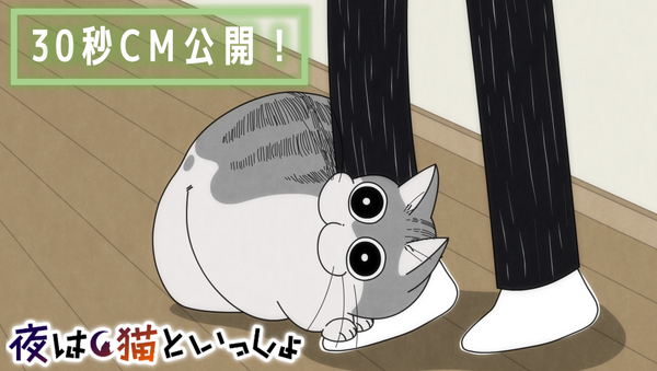 『夜は猫といっしょ』30秒CM（C）キュルZ・KADOKAWA／夜は猫といっしょ