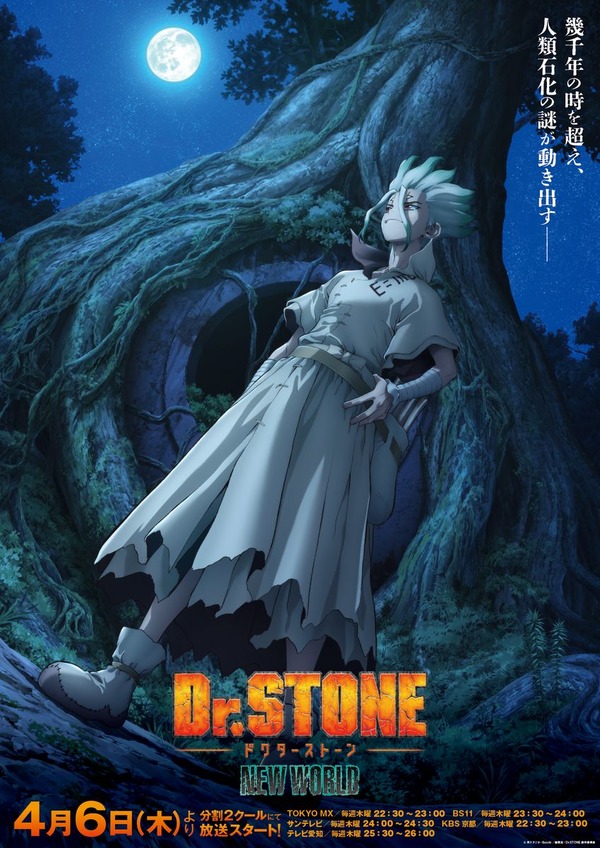 『Dr.STONE NEW WORLD』キービジュアル（C）米スタジオ・Boichi／集英社・Dr.STONE製作委員会