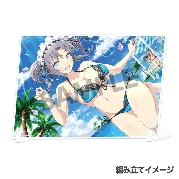 「シノビマスター 閃乱カグラ NEW LINK ビジュアルアクリルプレート」各3,300円（税込）（C）Marvelous Inc.（C）HONEY PARADE GAMES Inc.