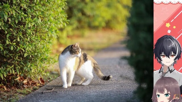 （C）2016 COVER Corp.