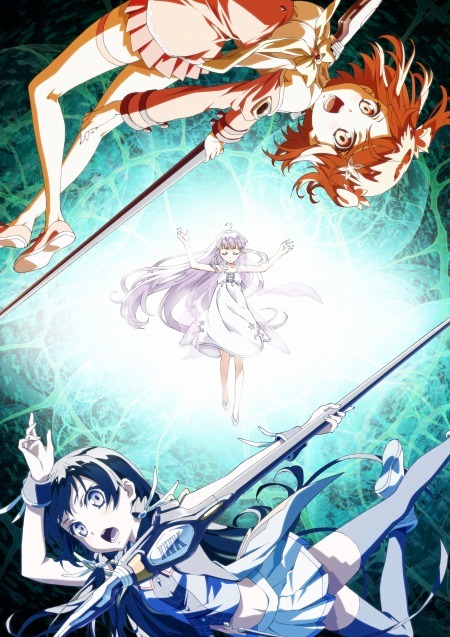 （c）Project D.backup