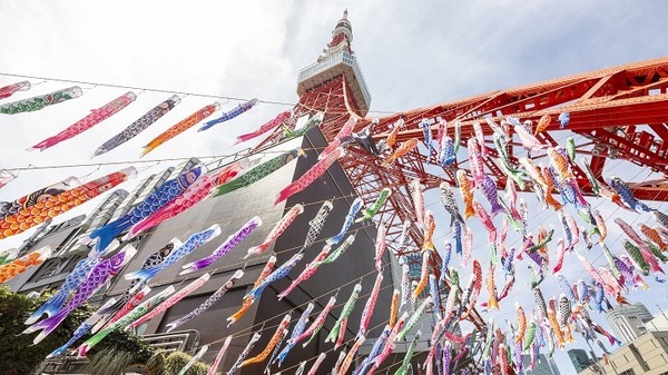 333匹の鯉のぼりが泳ぐ様子