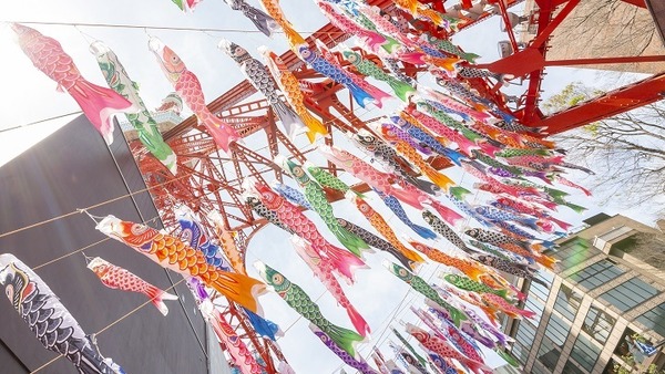 333匹の鯉のぼりが泳ぐ様子